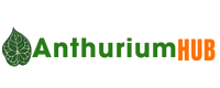 AnthuriumHub.com