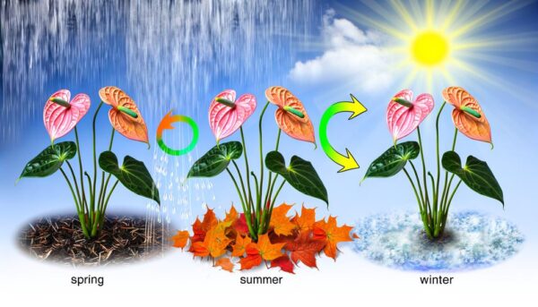 adapting watering schedule seasonally