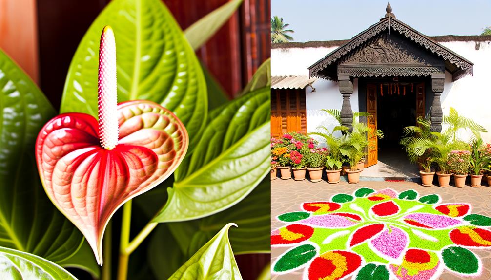 anthurium flower in marathi