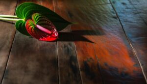anthurium symbolizes love loss