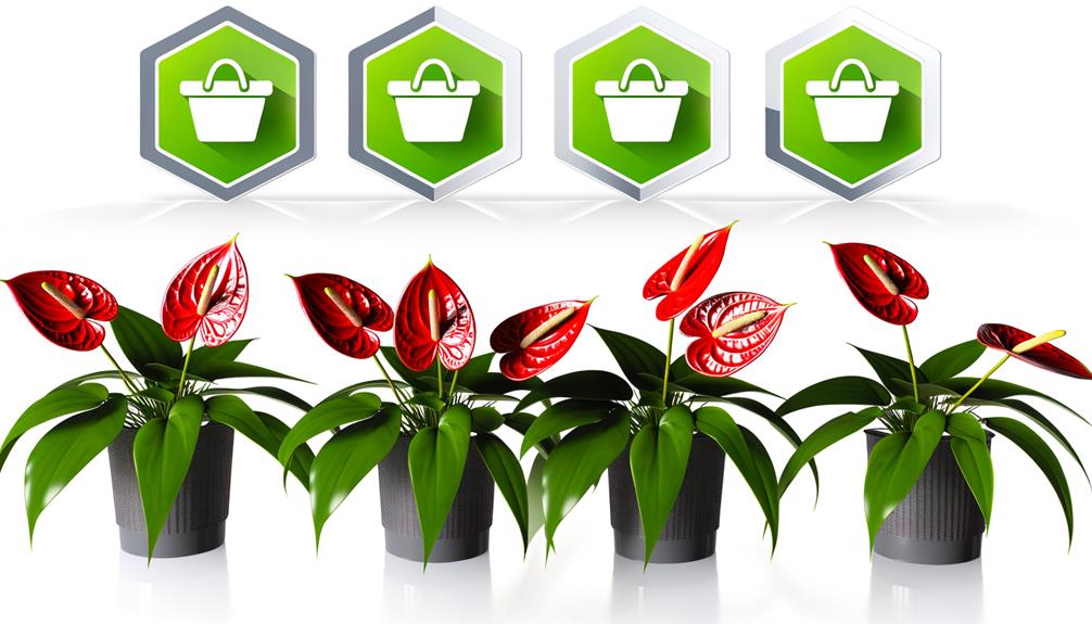 best online shops antherium plants