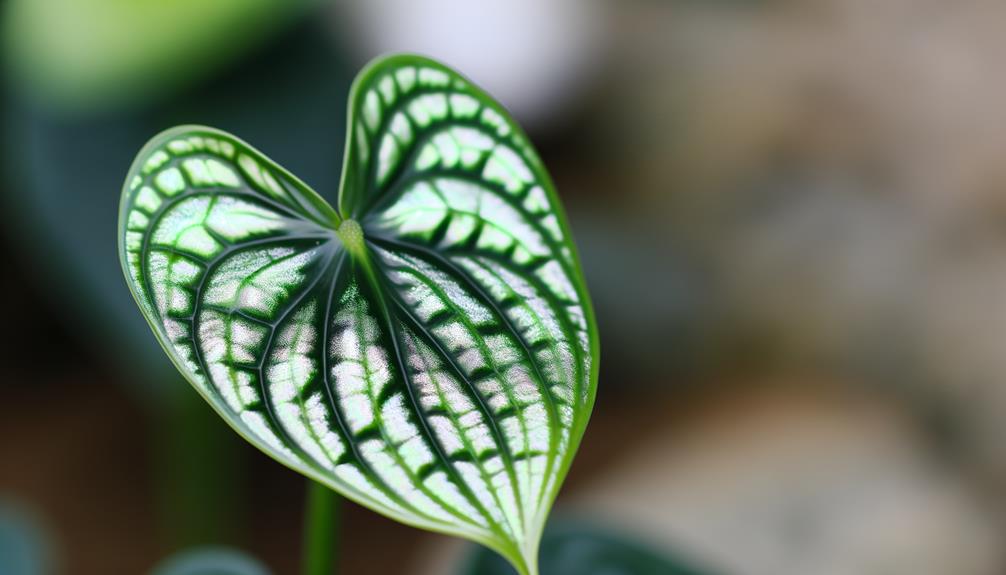 lovely metallic plant leaves