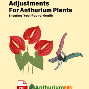 Seasonal Care Adjustments for Anthurium Plants Ensuring Year Round Health