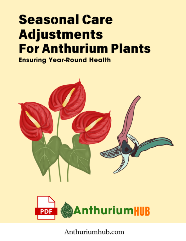 Seasonal Care Adjustments for Anthurium Plants Ensuring Year Round Health