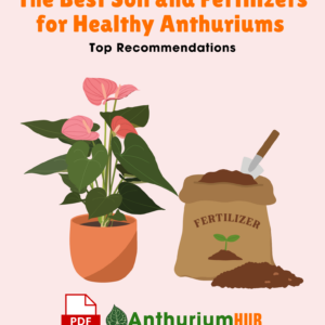 The Best Soil and Fertilizers for Healthy Anthuriums Top Recommendations