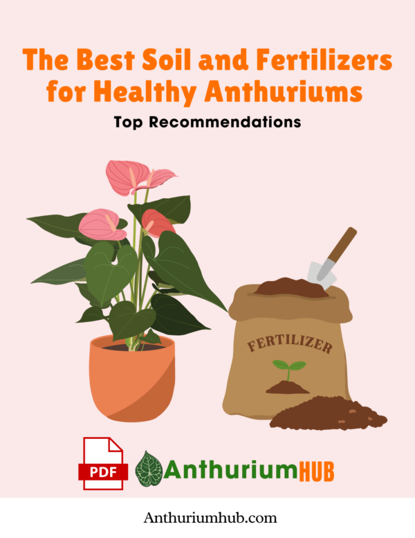 The Best Soil and Fertilizers for Healthy Anthuriums Top Recommendations